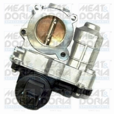 Throttle Body